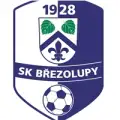SK Březolupy/TJ Nedachlebice