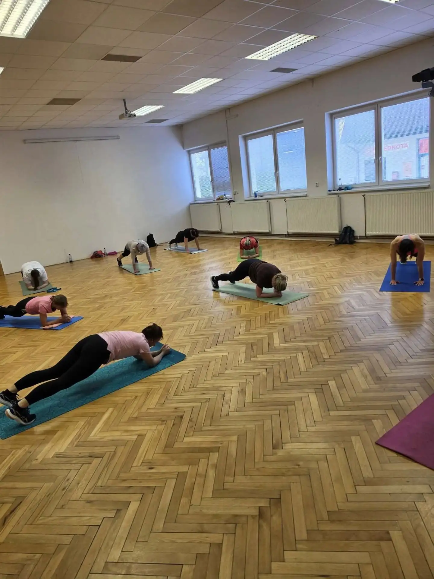 CVIČENÍ se Sokolem