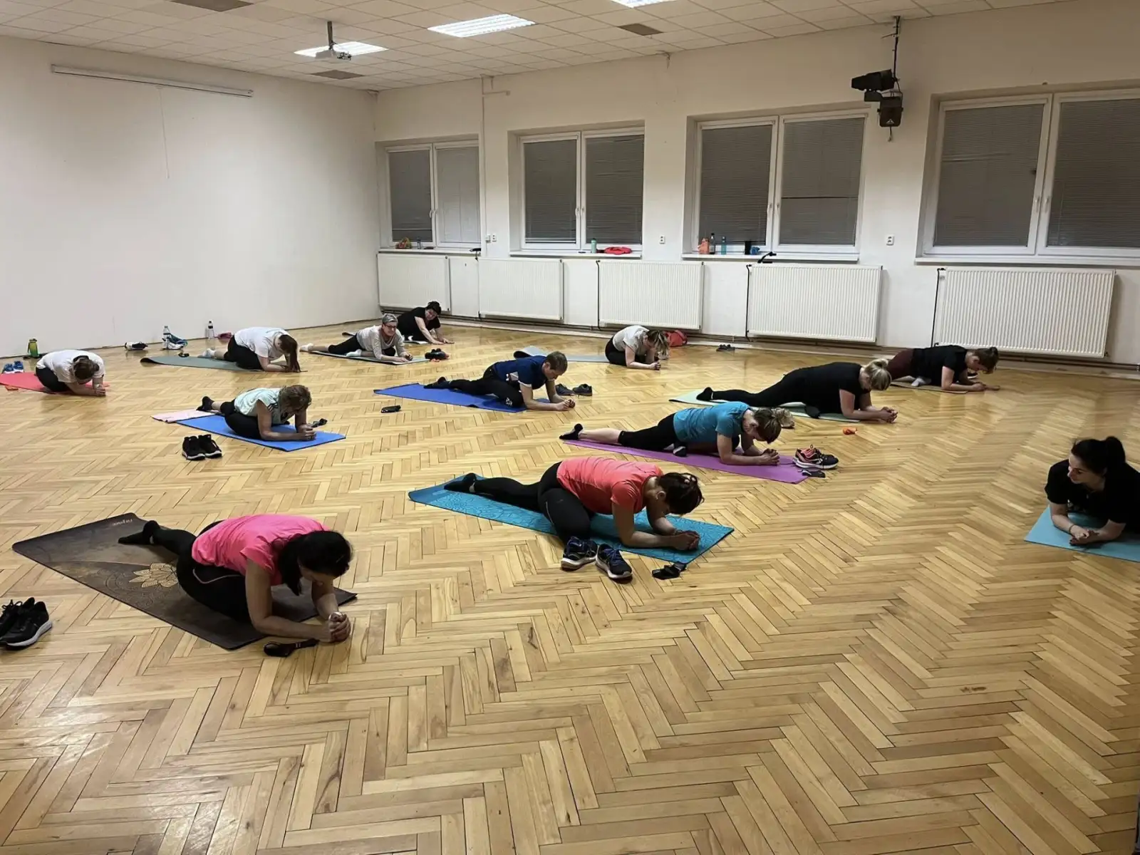 CVIČENÍ se Sokolem