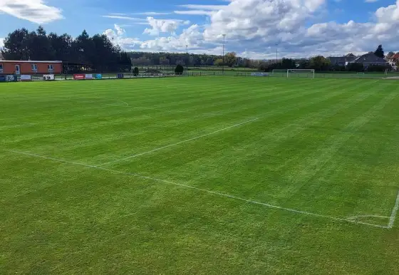 A TÝM| Z Nedakonic vezeme pouze bod